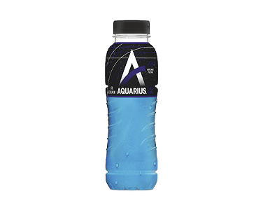 Aquarius Blueberry (33 cl)